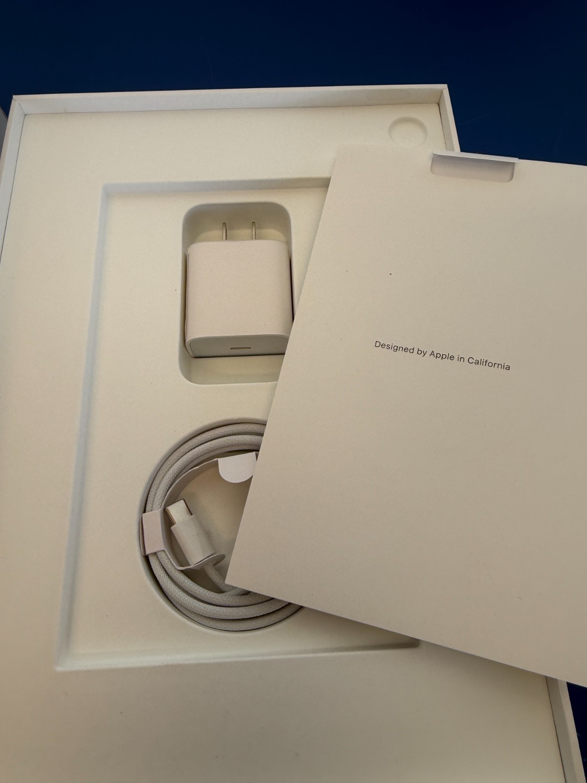 Apple iPad 10.9" (10th Gen) 256GB WiFi Silver MPQ83VC/A - Image 9